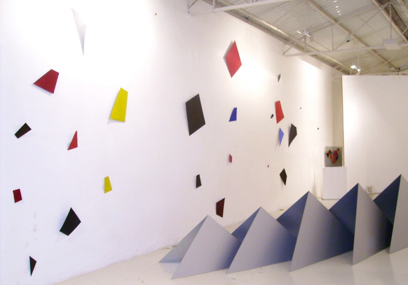 Galeria Raquel Arnaud, 2008, São Paulo, Brasil 